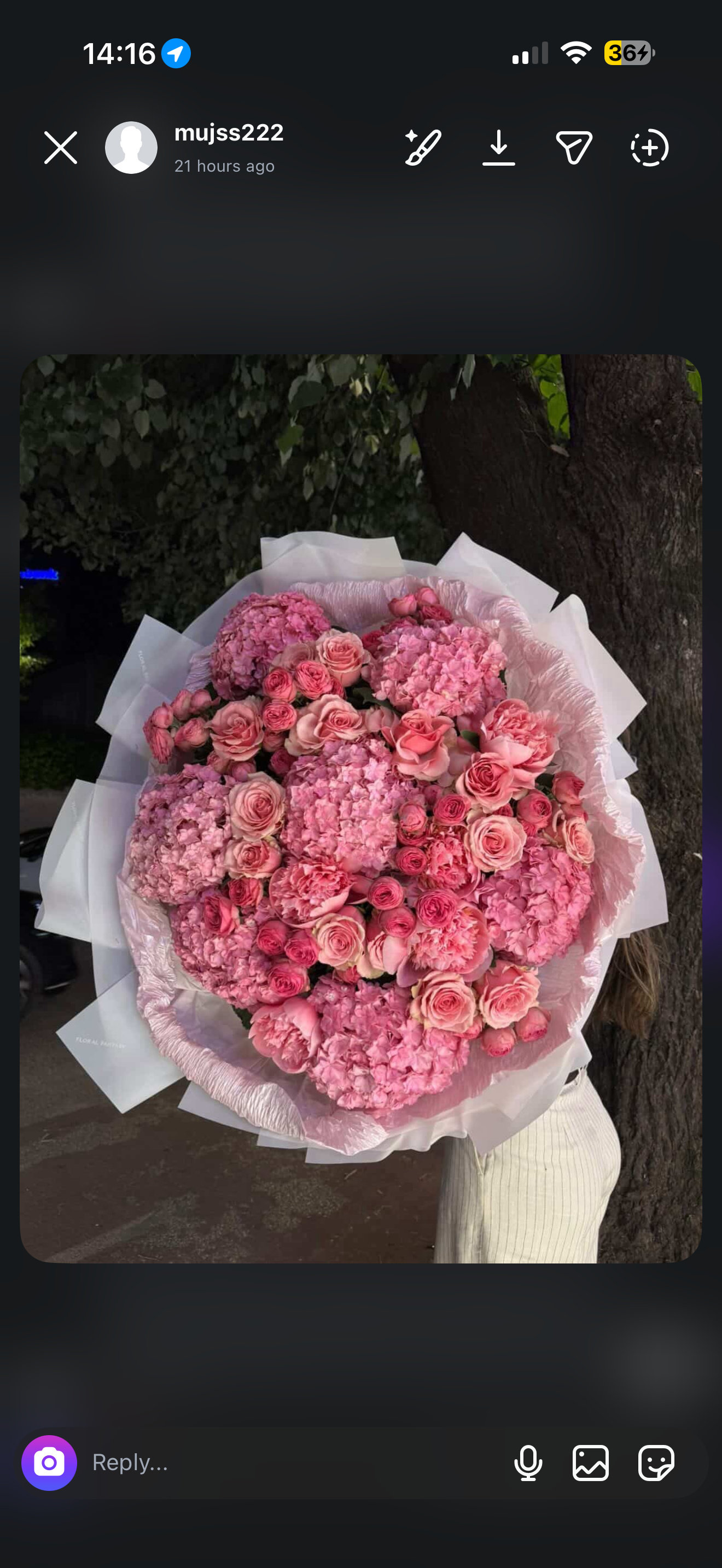 Hydrangea and Rose Pink Mix